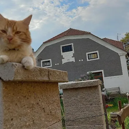 Ubytování Příbramsko Alloggio in famiglia *